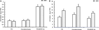 Corrigendum: Endophytic Fungi Activated Similar Defense Strategies of Achnatherum sibiricum Host to Different Trophic Types of Pathogens